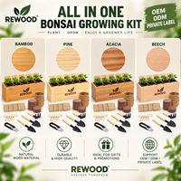 Kit de culture de bonsaï en gros avec boîte de plantation en bois, 5 variétés de graines, kit de démarrage DIY
