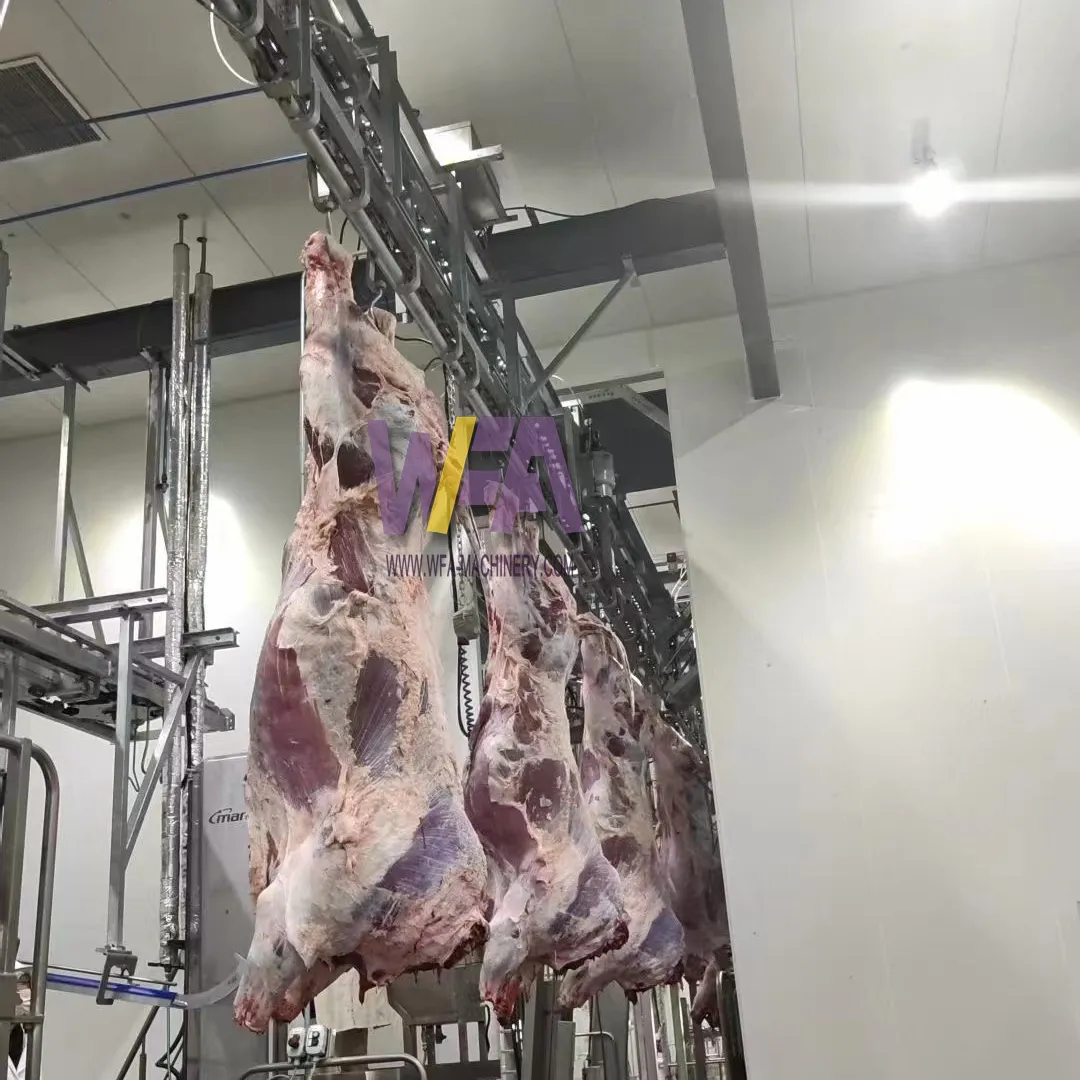 Tam 60 sığır kesim hattı inek kesim sığır Abattoir ekipman özelleştirmek