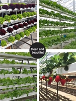 Tuyaux hydroponiques en PVC de qualité alimentaire pour système hydroponique de serre, utilisés dans la culture de fraises