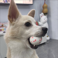 Partenaire OEM/ODM en gros : Balle à mâcher interactive pour chien en silicone et ETPU, résistante aux morsures, flottante, pour l'entraînement et les jeux en extérieur, design simple