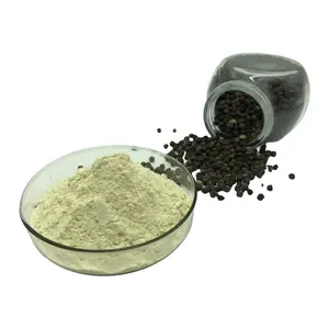 Factory Supply Black Piperine Extract Powder Black Pepper Extract Piperine 95% 97% 98%
