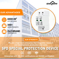 Parafoudre DC 1200V /250V/280V 2P PV SPD T2 20kA 40kA pour système solaire et onduleur photovoltaïque
