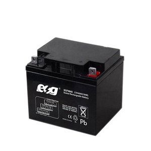 Batería ESG de ciclo profundo sellada VRLA SMF 6GFM100 12V 30Ah 40Ah 60Ah de plomo-ácido para vehículos solares, bicicletas/scooters eléctricos y automotrices 2000 - Product Image 4