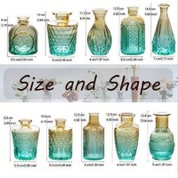 10 Buah Wadah Rangkaian Bunga Hidroponik Multi Spesifikasi, Vas Kaca Vintage Gradasi, Set Gelas Kecil