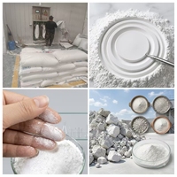 Nano-CaCO3 hydrophobe traité pour additifs de peinture internationaux – Poudre de carbonate de calcium super blanche et légère
