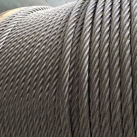 Câble en acier inoxydable 316 en gros, 0,5-12 mm, 1*19, câble en acier pour frein et accélérateur, fil torsadé, spot pour utilisation en salle de sport