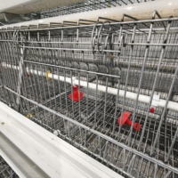 Cage d'élevage de poussins de type A pour poussins d'un jour, capacité 500-2000 poussins, galvanisée à chaud, 3/4 niveaux, pour élevage avicole