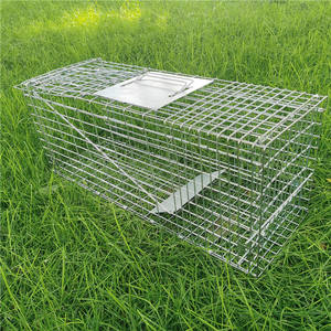 Piège à cage pour animaux vivants Pièges à raton laveur pliants robustes Piège à chat sans cruauté pour ratons laveurs errants Écureuil Taupe <span class=keywords><strong>Attraper</strong></span> et relâcher - Product Image 3