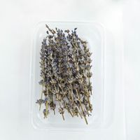 Bunga kering kering padat Naturl campur acak bunga kering untuk DIY bahan seni kuku kerajinan Resin epoksi