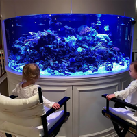 Vente chaude grande taille lumière LED gelée poisson Transparent Aquarium personnalisable réservoir de poisson en plastique pour la décoration de la maison