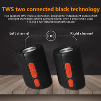 Peakers 2 In 1 Bluetooth Speaker For home