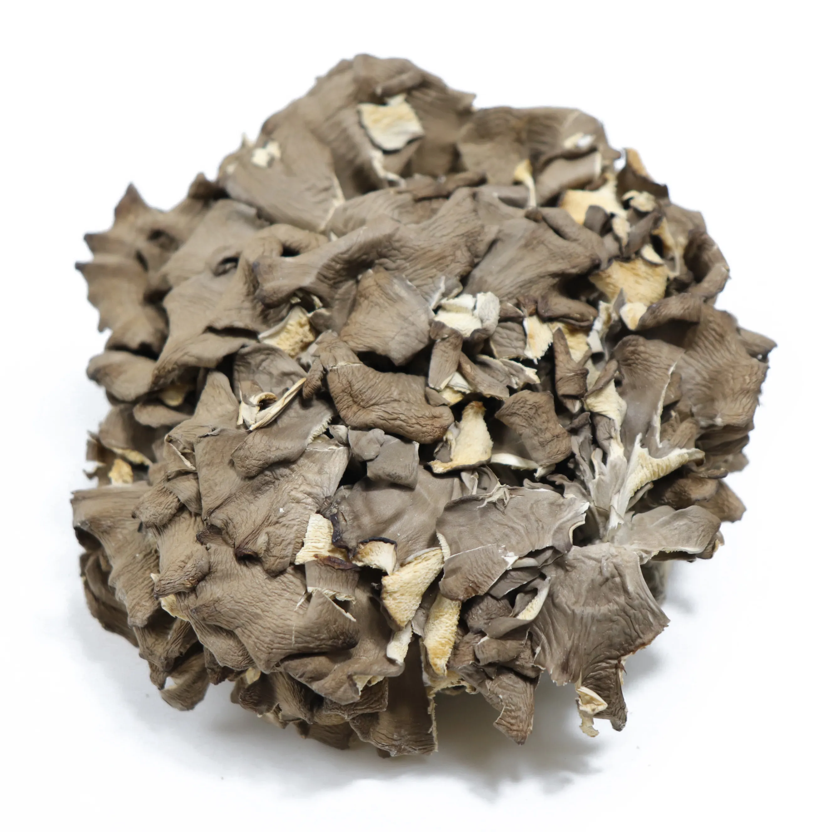 Maitake Trusted Supplier 100% Natural Maitake Dried maitake mushroom