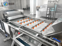 Fruit- en groente-inspectie, sorteer-, week-, was- en drooglijn, voedselverwerkingsapparatuur
