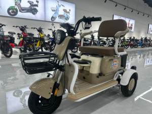 Triciclo al por mayor con cuadro de acero, motor trasero, 3 velocidades, motor sin escobillas, pantalla LED, autonomía de 31-60 km - Product Image 1