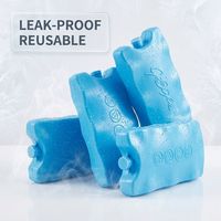 Garder la brique de glace froide de sac à dos de refroidisseur pour le transport de long temps de nourriture