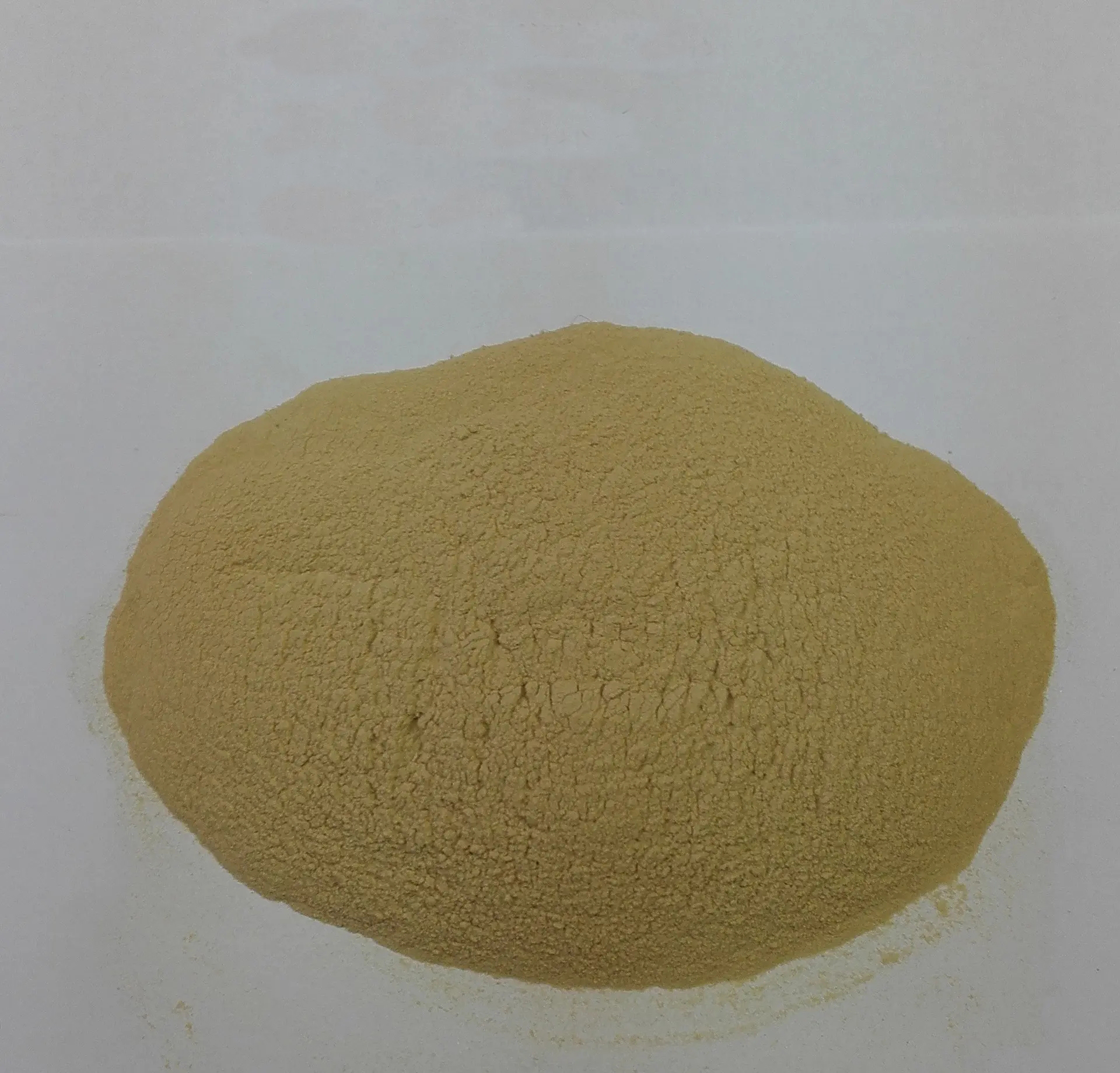 bacillus velezensis yihao