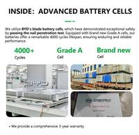 Heavy Duty Lifepo4 batteria per escavatore e caricatore con alta corrente di scarico Design personalizzato