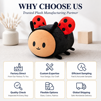 Peluche personnalisée Kawaii en forme de coléoptère, jouet en peluche doux et personnalisé pour bébé, compagnon de sommeil mignon pour enfants, peluche réconfortante