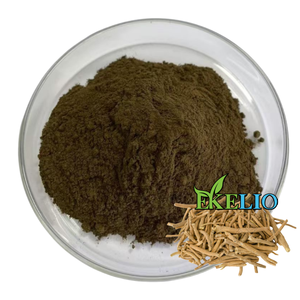 Doğal Sassafras Officinale özü Sassafras Officinale kök ekstresi tozu - Product Image 3