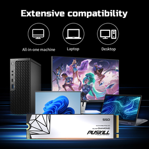 PUSKILL Fabrieks Prijs OEM ODM M.2 2280 NVMe PCIe 3.0 SSD Aangepaste Logo 3D NAND Solid State Drive Groothandel - Product Image 5