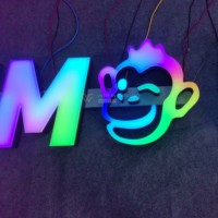 Lámpara de Pared RGB Programable de Alta Calidad, Ecológica, con Cambio de Color, Fluorescente, Impermeable, de Acero Inoxidable, con Certificación CE, para Decoración