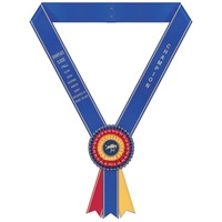 Rubans de récompense personnalisés avec logo, rubans à boucle de suspension, écharpes en satin et badges pour événements
