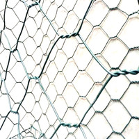 Grillage hexagonal pour élevage de volailles, galvanisé + revêtement PVC + acier inoxydable résistant à la corrosion pour poulailler
