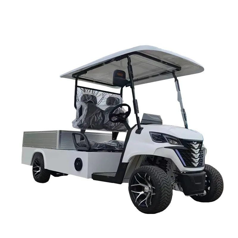 カーゴバケット付きホット2人乗り多機能輸送車両リチウム電池ゴルフカート