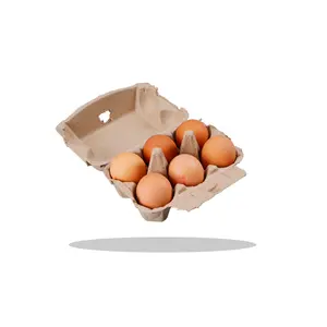 Plateau en papier biodégradable personnalisé pour œufs de poule Plateau en carton pour œufs 6 12 15 18 20 30 Plateau pour œufs en pulpe