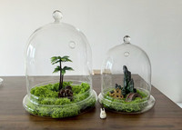 Récipient de vase de terrarium en verre clair moderne avec base de trou d'air pour la maison dôme de cloche d'affichage de table pour la pièce maîtresse de fleur de plante