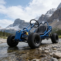 Meilleur prix pour buggy 420cc à essence tout-terrain pour les jeunes, utilisation en extérieur avec freins à disque hydrauliques et propulsion arrière