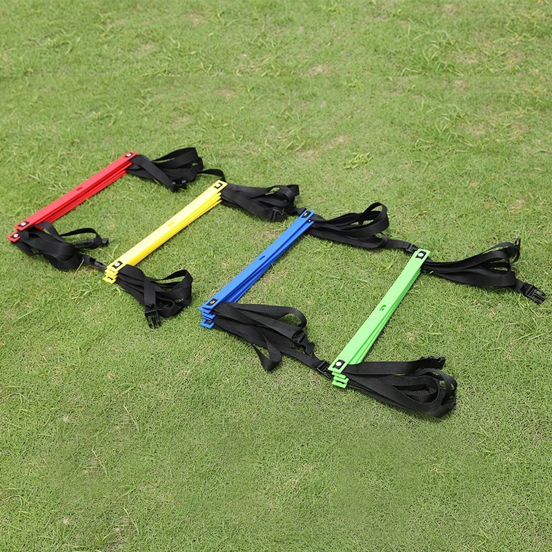 Multi Functional Fixed Agility Ladder for