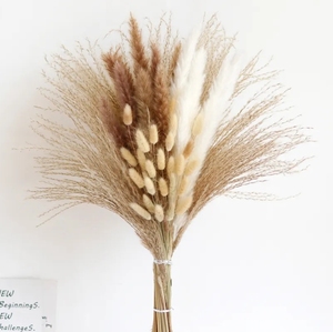 Adorno de hierba de Pampa grande y corta al por mayor, flores decorativas secas conservadas naturales para la Navidad, adornos navideños reales - Product Image 5