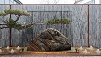 Dalles de pierre en granit gris foncé ondulé, motif naturel, pour revêtement mural de jardin et aménagement paysager, vente en gros