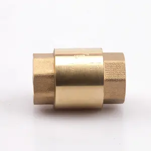 Zhejiang kaibeili Good Selling Vertical brass core sping Water vertical check valve