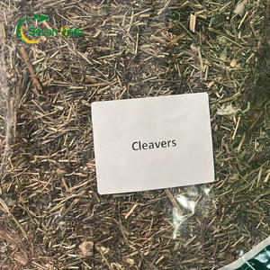 Nueva cosecha Plantas enteras Stickwilly False Cleavers Secado <span class=keywords><strong>Galium</strong></span> Spurium - Product Image 3