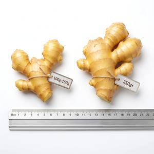 Jengibre Seco Fresco, Vegetales Frescos, Jengibre de Shandong, Jengibre Seco <span class=keywords><strong>en</strong></span> Rodajas, Jengibre <span class=keywords><strong>en</strong></span> Polvo, Jengibre Seco - Product Image 2