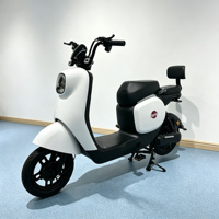 Fabricant OEM de vélos électriques M6, couleur personnalisable, vélo électrique stable et tendance, Bicicleta Electrica pour adultes, vélo électrique pas cher