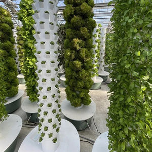 Commercial agricole économique et pratique intérieur culture verticale agriculture aéroponique intérieur Nft hydroponique jardin château d'eau - Product Image 3