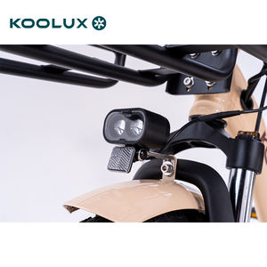 Bicicleta Eléctrica Plegable Popular al por Mayor con Batería de Litio, Motor Trasero sin Escobillas, Neumático Grueso de 20 Pulgadas, 25 km/h, Modelo Urbano para Adultos - Product Image 6