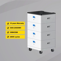 Batterie LiFePO4 51,2 V 200 Ah 10,24 kWh Empilable Stockage Solaire Hybride BMS RS485/CAN Bluetooth WiFi 10-20 kW de crête 16 unités en parallèle
