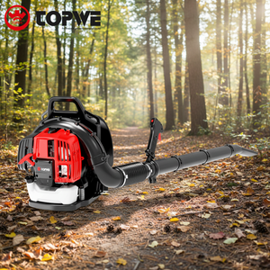 Souffleur à dos TOPWE, nouveau produit tendance, facile à utiliser, pour nettoyer votre pelouse - Product Image 1
