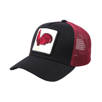 Casquettes de camionneur en coton Vente en gros