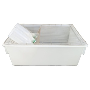 Laboratuvar gine domuz kafesi PP malzeme kemirgen yem fare sıçan grubu yetiştiriciliği küvet laboratuvar kafesi şişe - Product Image 4