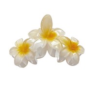 Jepit Rambut Cakar Bunga Hawaii Akrilik Plastik Ukuran Besar Model Hiu untuk Rambut Tebal Wanita Aksesoris Rambut Floral Elegan