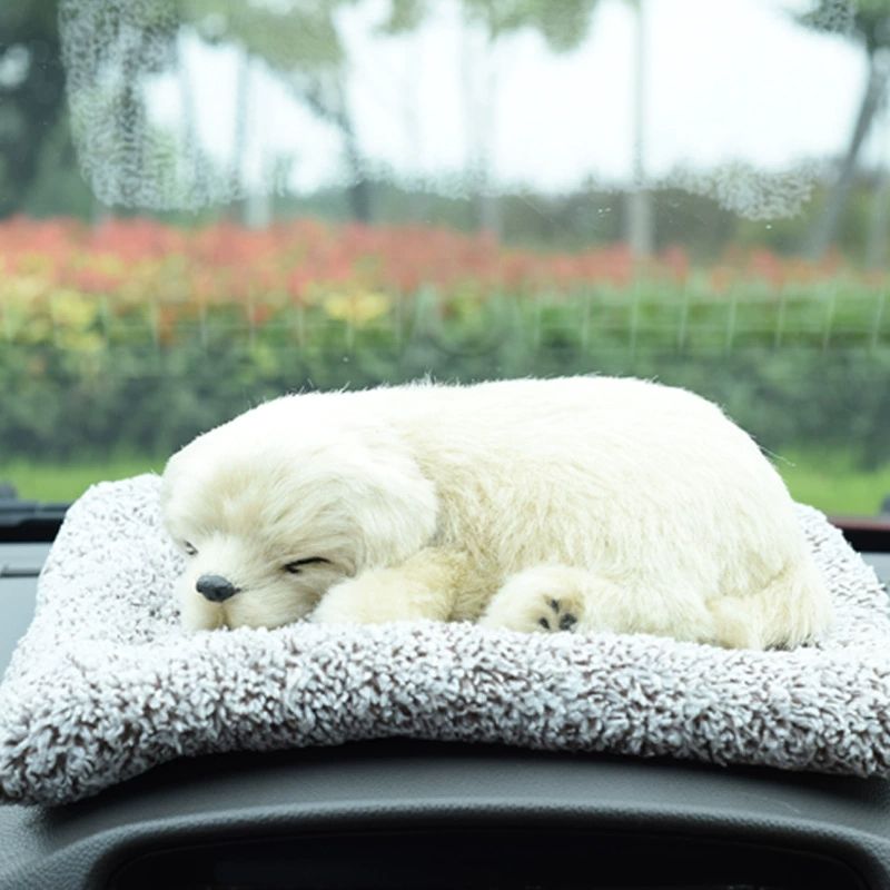 ลาบราดอร์