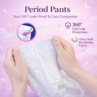 Culottes menstruelles jetables pour femmes, protection nocturne, haute absorption, anti-fuites, protection 360°, marque privée OEM ODM FSC