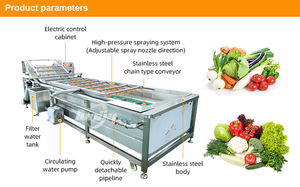 Precio de fábrica: Lavadora de cerezas y vegetales, limpiadora de mangos, máquina de limpieza de figos de espino, línea de clasificación, lavado y encerado de limones - Product Image 6
