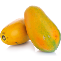Variedad Comercial Híbrida para Cultivo de Papaya, 99% de Pureza, 80% de Germinación, Estructura de Planta Fuerte, Excelente Uniformidad de Cosecha, Amarilla