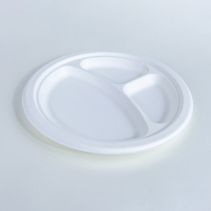 Juego de Platos Desechables de Bagazo para Fiesta, Vajilla de Papel al por Mayor para Decoración - Product Image 3